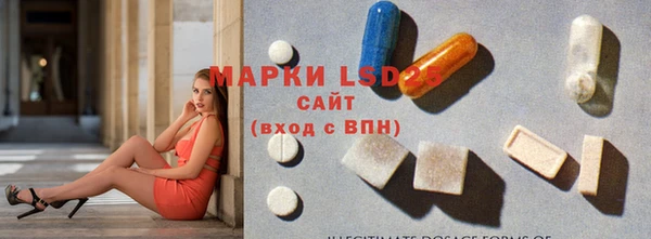 мдпв Кулебаки