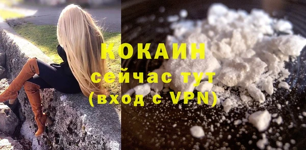 прущие грибы Куйбышев