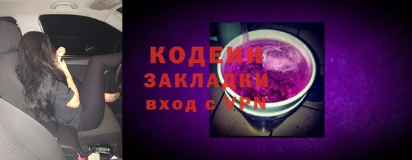 прущие грибы Куйбышев