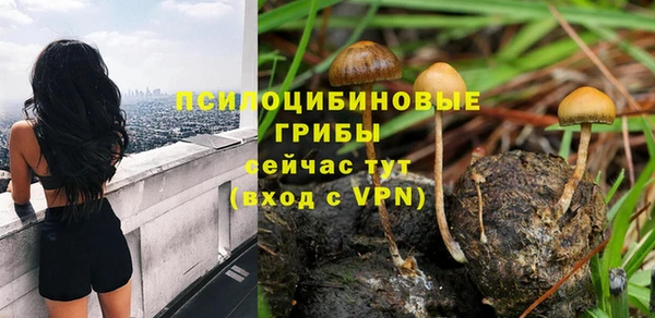 метадон Кукмор