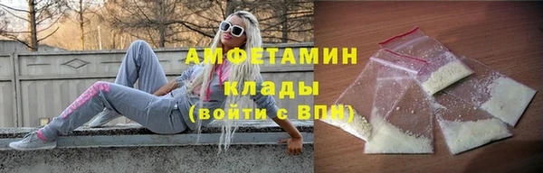 прущие грибы Куйбышев