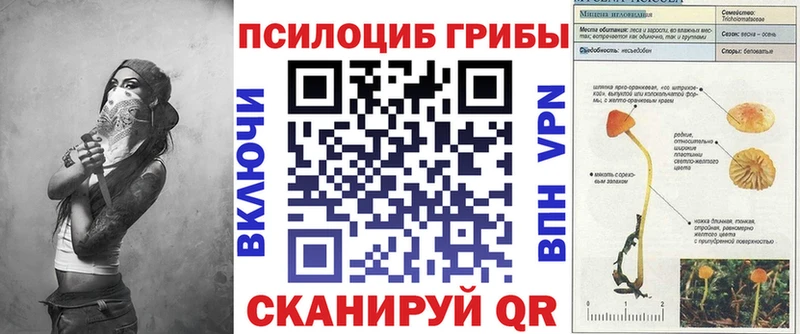 MEGA   Шиханы  Псилоцибиновые грибы MAGIC MUSHROOMS 